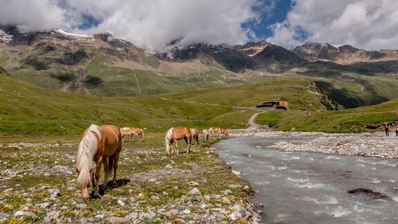 Wandern in Gurgl - Hotel Alpenaussicht - Obergurgl 