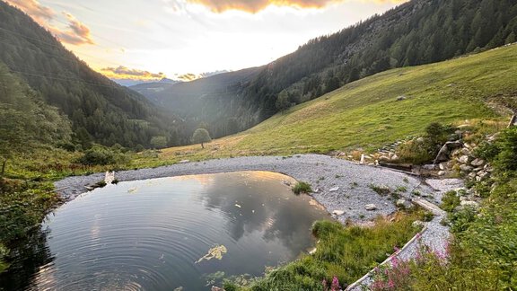 A picturesque landscape with a tranquil pond and gentle hills. In the background, there are wooded mountains and a moody sky. - Almhof Mareil - Ochsengarten