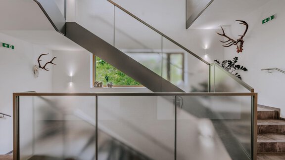 Ein moderner Treppenaufgang mit Glasgeländer. An den Wänden sind stilisierte Geweihe und Pflanzen dekoriert. - Apartment Waldesruh - Ochsengarten
