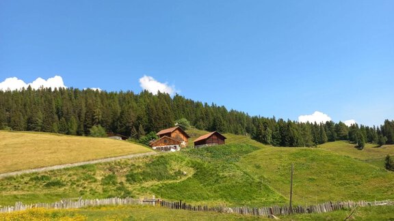 Ansicht von der Straße - Ferienhaus Föger - Ochsengarten