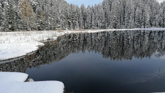 Brandsee - Ferienwohnungen Heiss - Ochsengarten