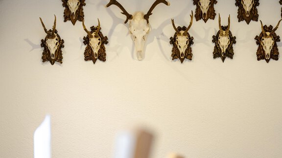 Ein rustikales Restaurant mit Holzmöbeln und einer dekorativen Wand aus Geweihen. Die Atmosphäre ist gemütlich und einladend. - Gasthof Waldesruh - Ochsengarten