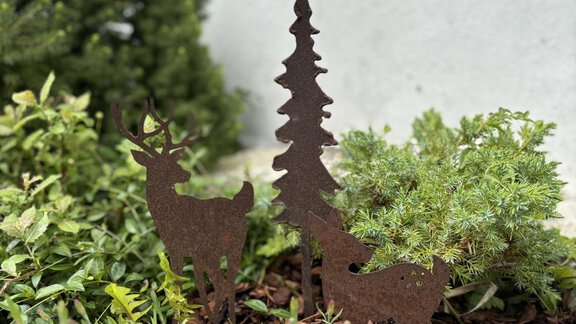 IMG_8811 - Hoamat Apartments - Ochsengarten