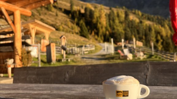 A piece of cake with cream and fruit is on a plate next to a cup of coffee. In the background, there are mountains and a clear, sunny landscape visible. - Acherberg Alm - Oetz