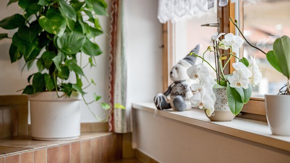 250110_160115 - Acherkogelblick - Oetz