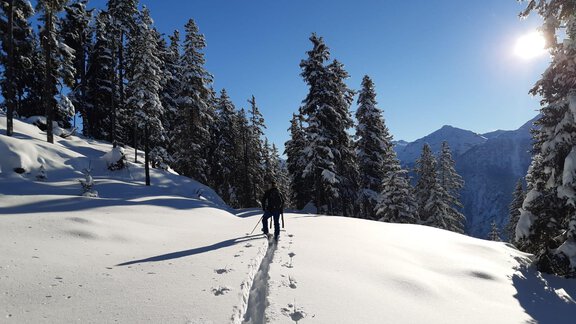 4dcd92fb-9592-4b8a-b4e4-f8ec615cc3cc - ALPENBLICK de Luxe - Oetz