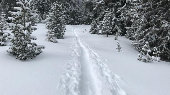 Winterlandschaft in unmittelbarer Nähe - ALPENBLICK de Luxe - Oetz