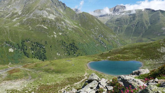 Eine malerische Berglandschaft mit einem klaren, blauen See. Umgeben von grünen Wiesen und majestätischen Bergen. - Alpenlove - Oetz