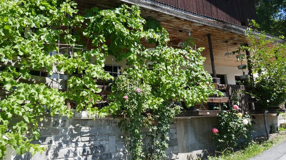 Weinlaube von aussen - Apart Auenstein - Oetz