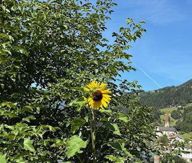 Kirchblick - Apartment im Greit - Oetz