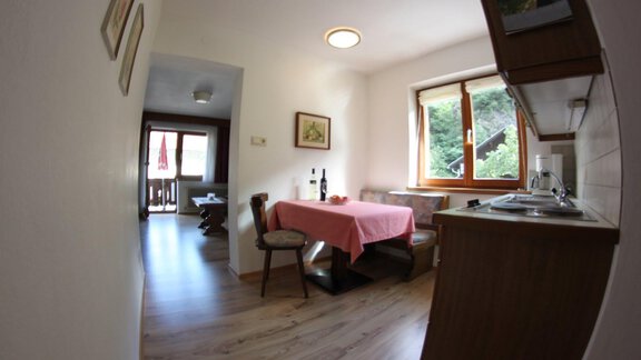 Appartment 2_Blick von der Küche Richtung Wohnzimm - Apparthaus Friedheim - Oetz