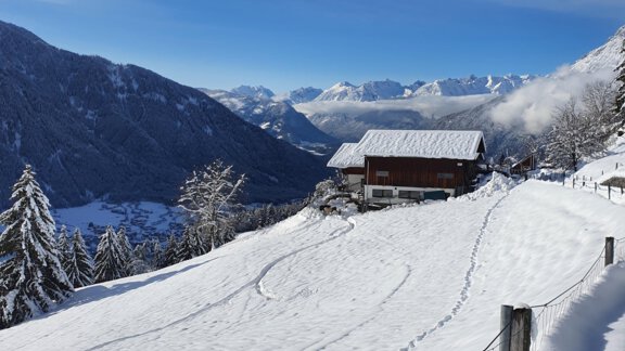 Bergbauernhof Burkert - Oetz