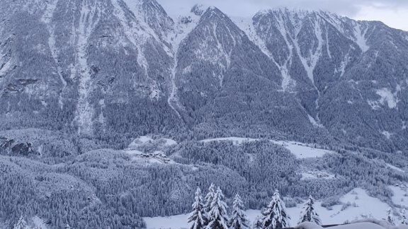 Bergbauernhof Burkert - Oetz