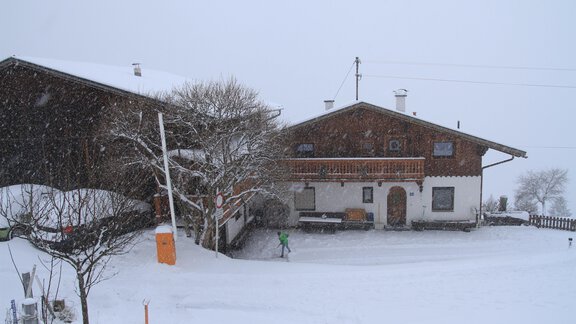 Bergbauernhof Burkert - Oetz