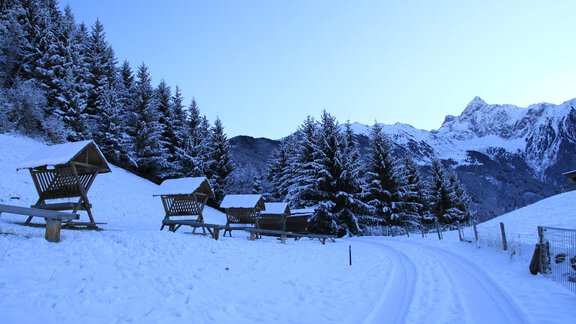Bergbauernhof Burkert - Oetz