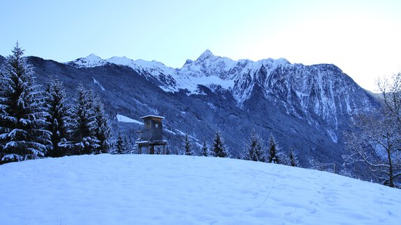 Bergbauernhof Burkert - Oetz