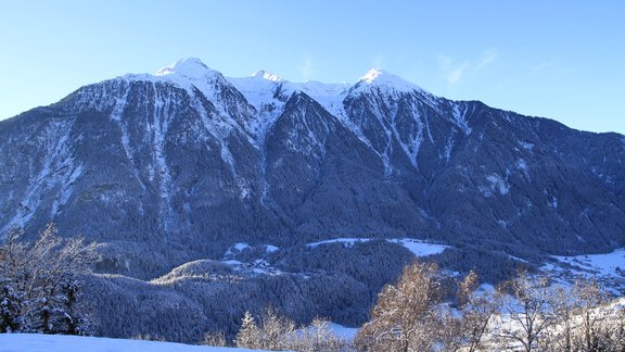 IMG_8504 - Bergbauernhof Burkert - Oetz