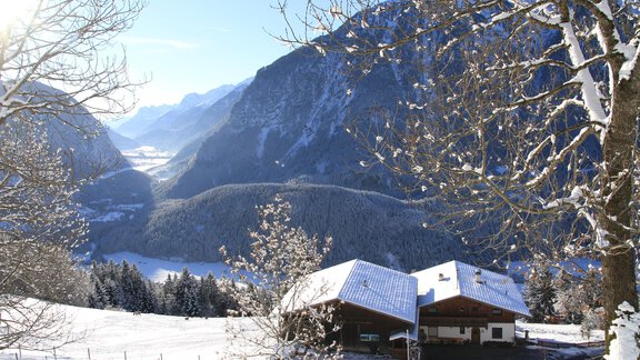 IMG_8655 - Bergbauernhof Burkert - Oetz