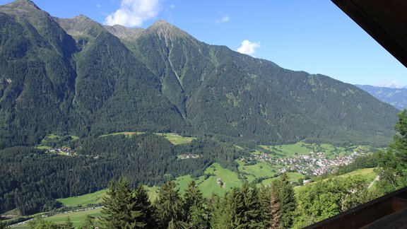 IMG_8002 - Bergbauernhof Burkert - Oetz