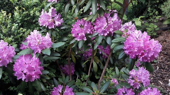 20180521_164501 - Chalet Pienz - Oetz