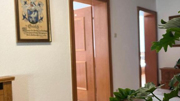 A bright corridor with wooden doors and a framed picture on the wall. A few plants are on the floor and the floor is covered with carpet. - Haus Evi - Oetz