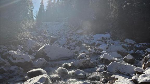 A beautiful winter landscape with a frozen river and snow-covered stones. The sun is shining through the trees, giving the scene a calm atmosphere. - Haus Evi - Oetz