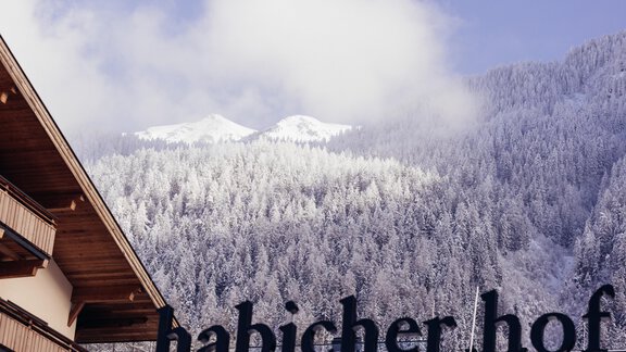 Winter Pictures_5 - Hotel Habicher Hof - Oetz