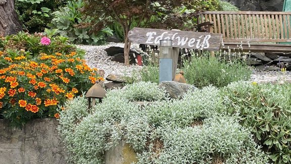 Garten - Landhaus Edelweiss - Oetz