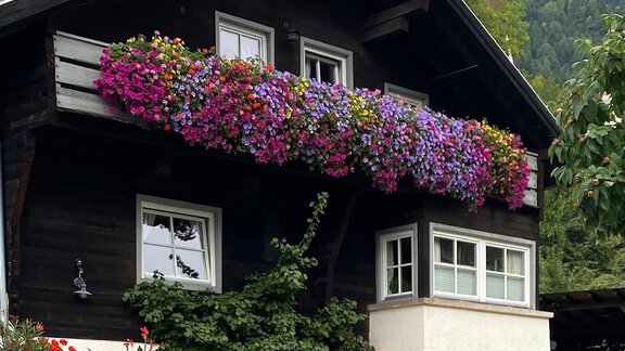 Sommer Landhaus Edelweiss - Oetz