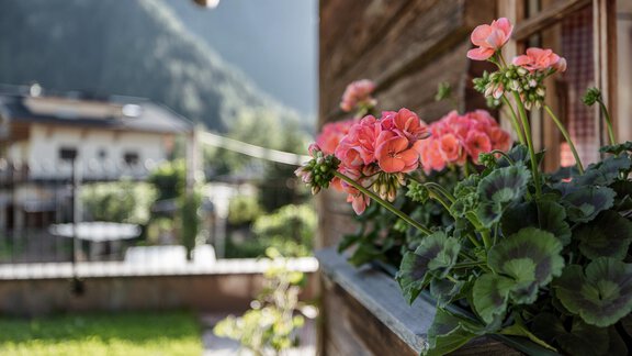 Aussenaufnahme_Muehlhof_byRudiWyhlidal--3224 - MYALPS Mühlhof - Oetz