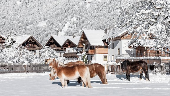 Schnee bedeckte Wiesen mit mehreren Pferden stehen vor einer malerischen, verschneiten Landschaft. Im Hintergrund sind traditionelle Chalets zu sehen. - MYALPS Mühlhof - Oetz