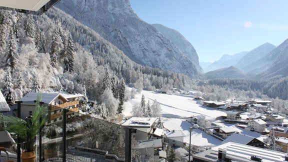 IMG_3693 - Panorama Appartements Mora - Oetz