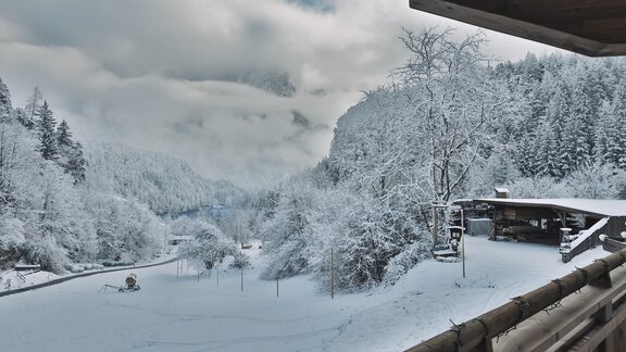 Eine winterliche Landschaft mit schneebedeckten Bäumen und einem ruhigen Tal. Der Himmel ist bewölkt und es gibt eine ruhige Atmosphäre. - See das Ferienhaus - Oetz