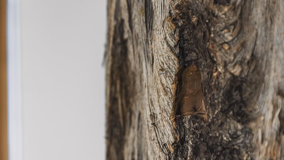 _F0A8810ROSSNER_F&F - See das Ferienhaus - Oetz