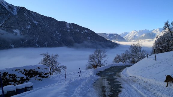 Aussicht - Wieserhof - Oetz