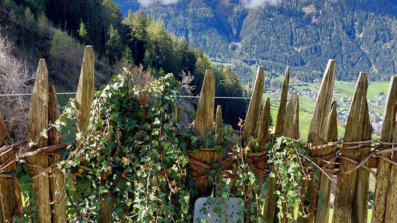 Bergblick vom Bauerngarten - Wieserhof - Oetz