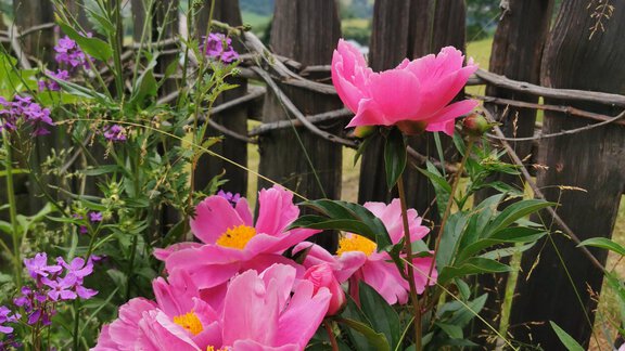 Garten - Wieserhof - Oetz