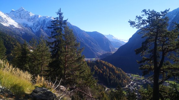 Bergblick Umgebung - Wieserhof - Oetz