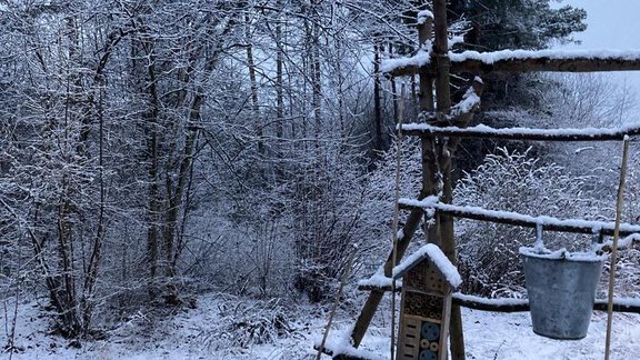 769D7B3B-8E3A-4463-B09B-2DD674829A75_1_105_c - Apartment Amberg - Ötztal Bahnhof