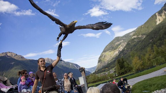 Greifvogelpark Umhausen - Ferienwohnung Keil - Ötztal Bahnhof