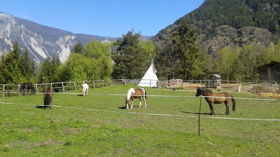 Unser Stall - Appartement Harmony - Sautens