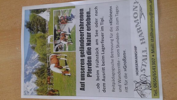 Unser Reitangebot - Appartement Harmony - Sautens