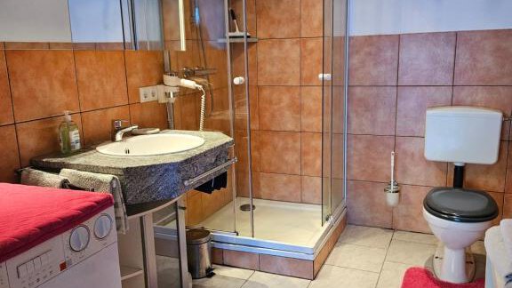 A modern bathroom with a shower, sink, and washing machine. The tiles are in a warm brown tone, complemented by pink bath mats. - Appartement Harmony - Sautens