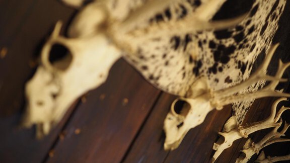 Krickl im Treppenhaus - bei Herrmann´s - Sautens