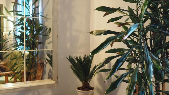 Treppenhaus - bei Herrmann´s - Sautens