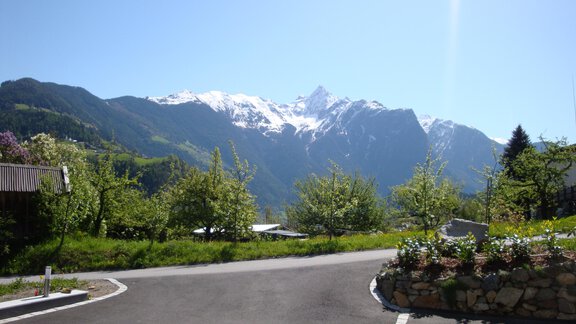 View in summer 4 - Ferienwohnung Wilhelm - Sautens