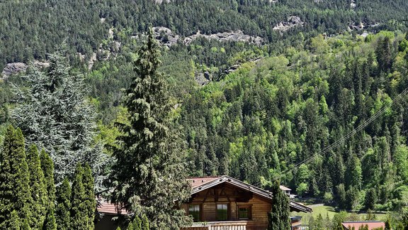 Eine malerische Alpenlandschaft mit einem traditionellen Chalet und grünen Bäumen. Im Hintergrund erheben sich majestätische Berge unter einem klaren blauen Himmel. - Ferienwohnungen Inka - Sautens