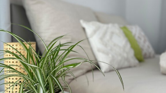 Zimmer 2 - Haus Dahuam - Sautens