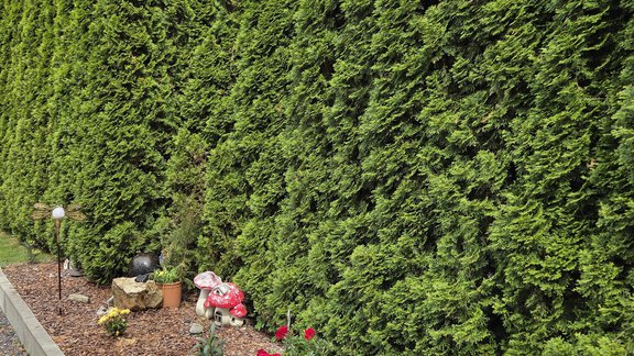 1000076010 - Haus Jassy - Sautens