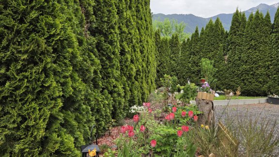 1000076016 - Haus Jassy - Sautens